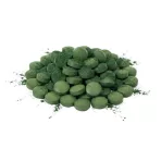 Alga