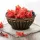 PANDANUTS Hibiszkusz 250 g