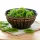 PANDANUTS Aszalt kiwi 1000 g